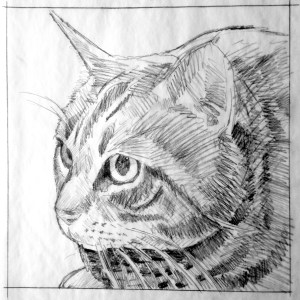 12" x 12" pencil drawing