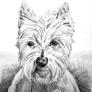 12" x 12" graphite on paper