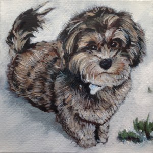 12" x 12" oil on canvas NFS