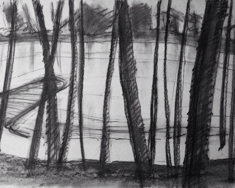 12" x 18" graphite on paper